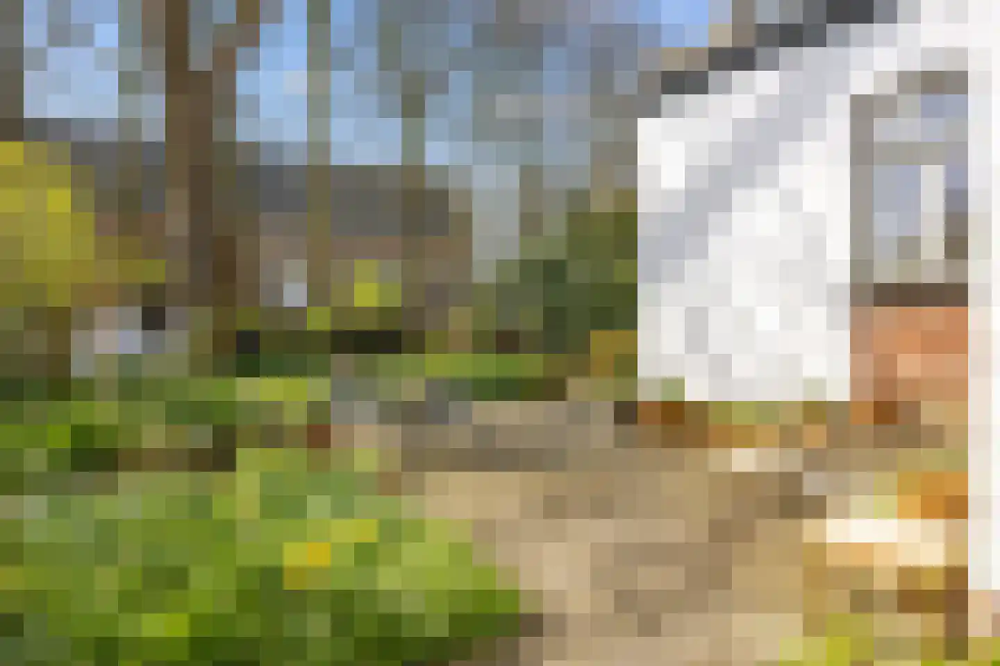 Heerestraat 23 Baflo thumbnail 47