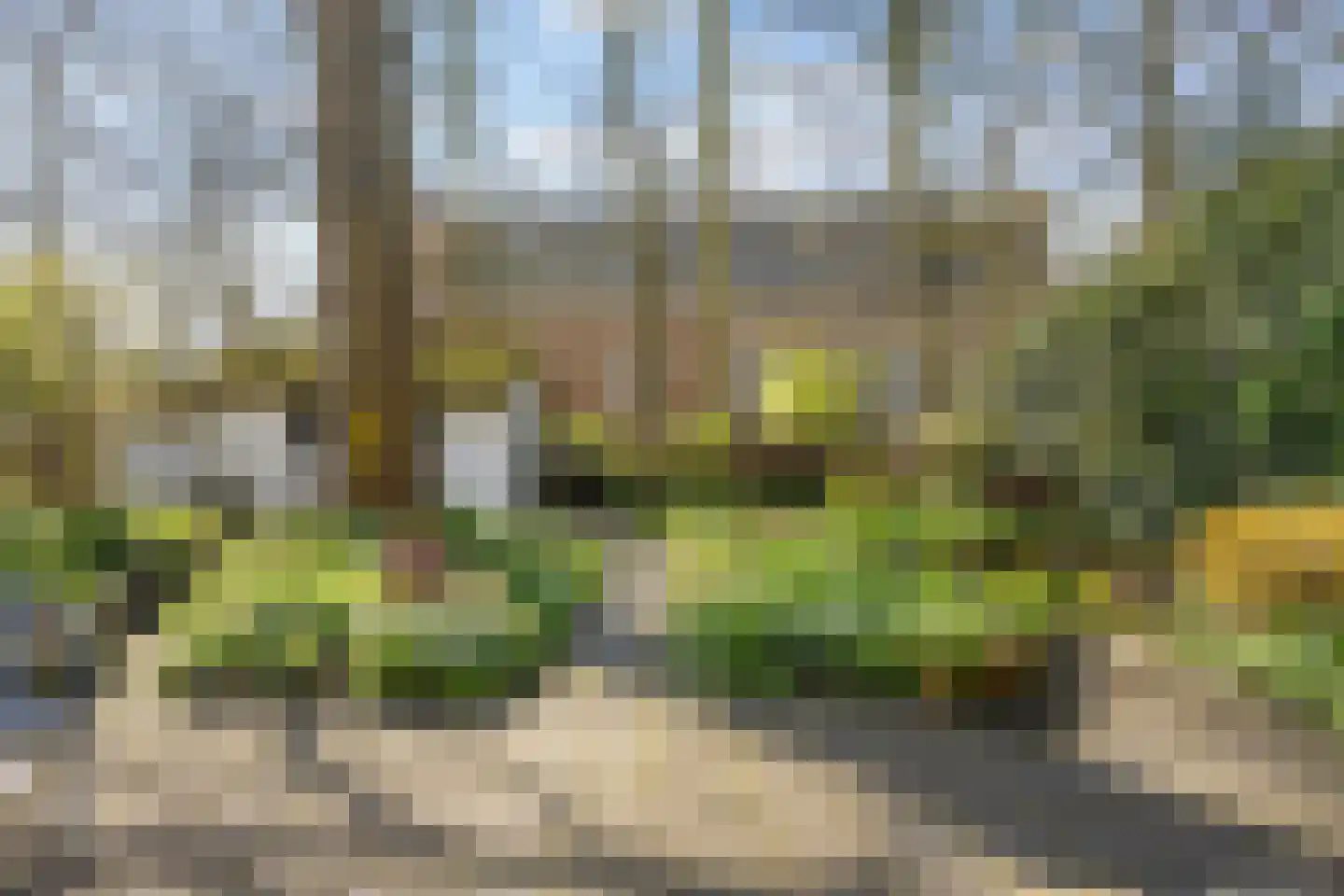 Heerestraat 23 Baflo thumbnail 48