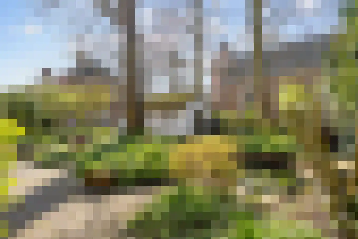 Heerestraat 23 Baflo thumbnail 49
