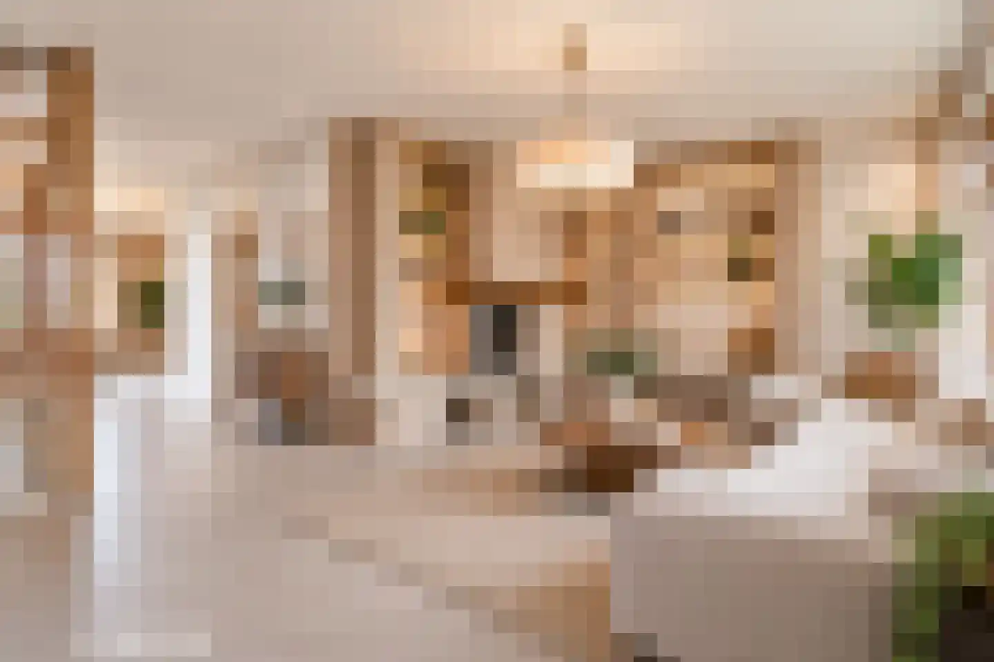 Heereveldje 8 Landgraaf thumbnail 16