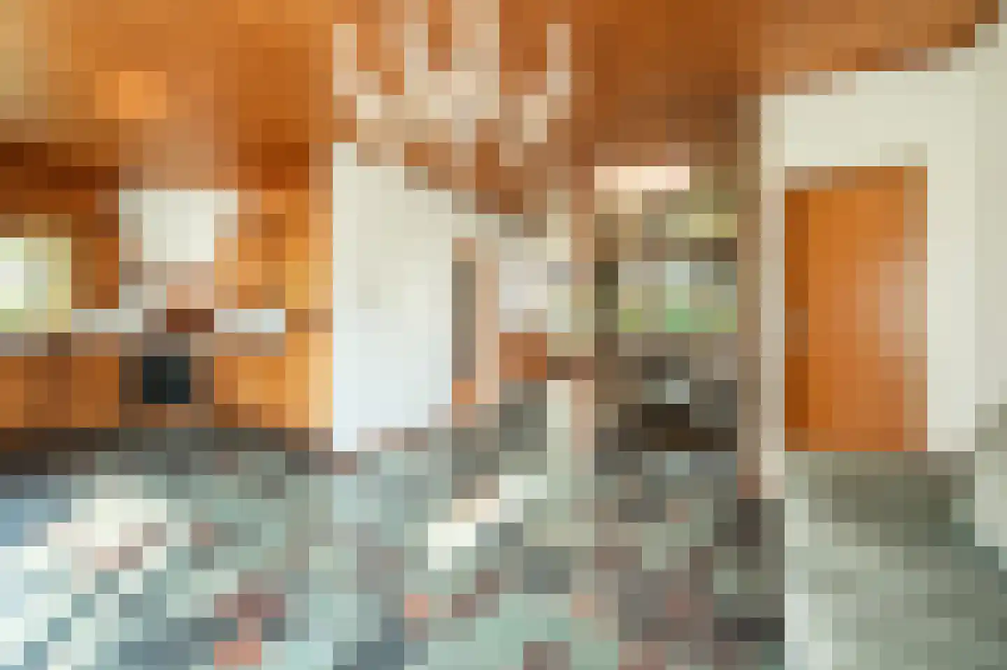 Heereveldje 8 Landgraaf thumbnail 7