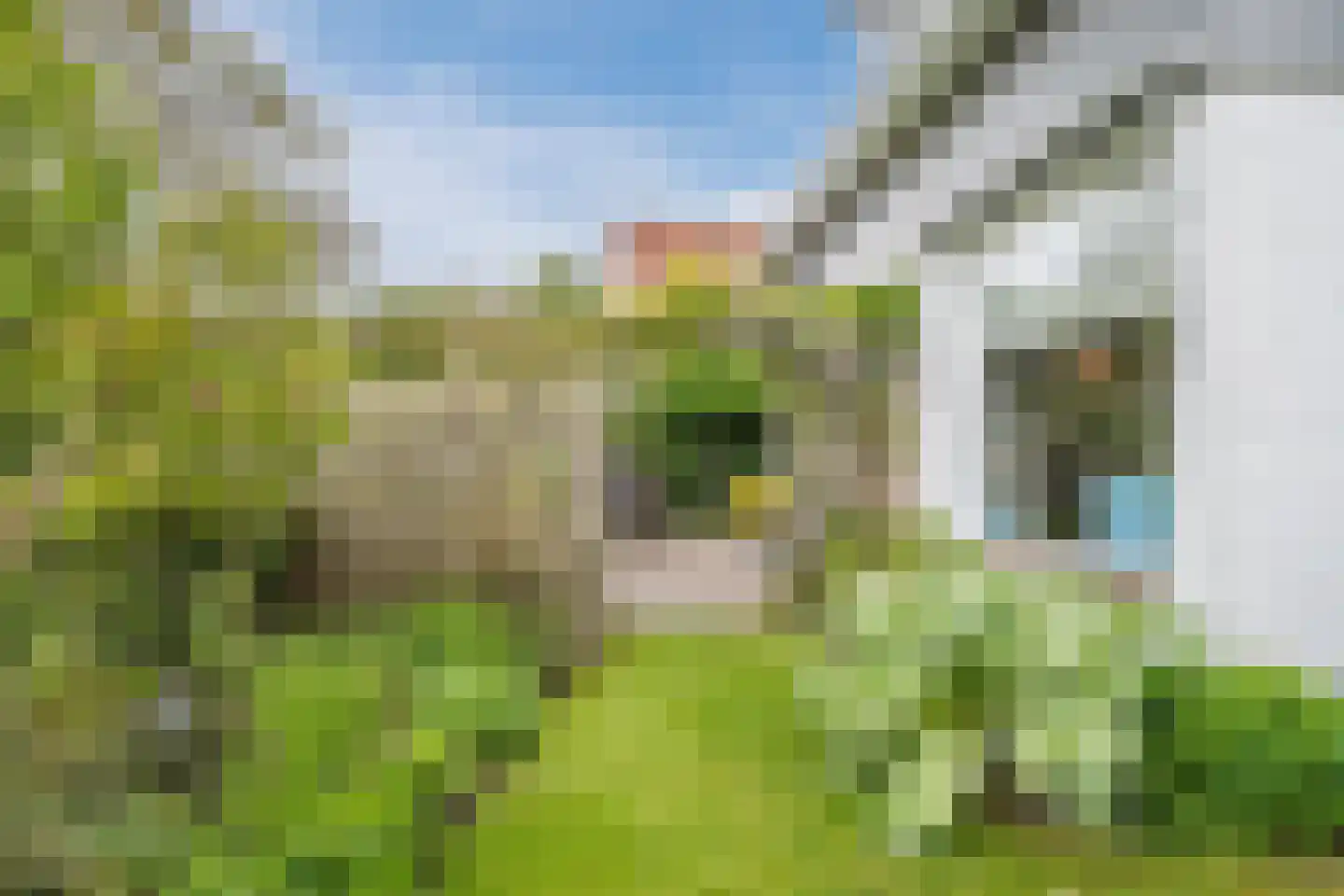 Heereweg 111 Schoorl thumbnail 25