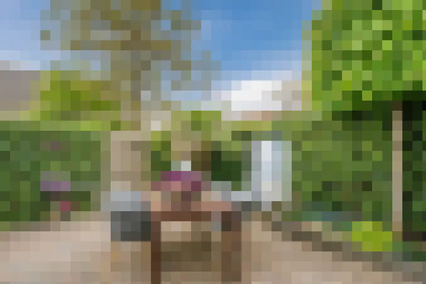 Heereweg 111 Schoorl thumbnail 26
