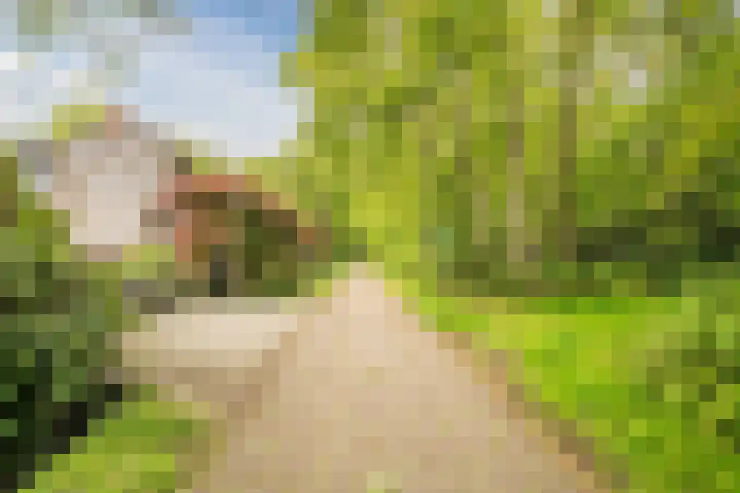 Heereweg 111 Schoorl thumbnail 29
