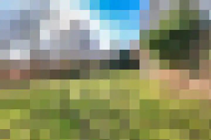 Heereweg 125 Schoorl thumbnail 10