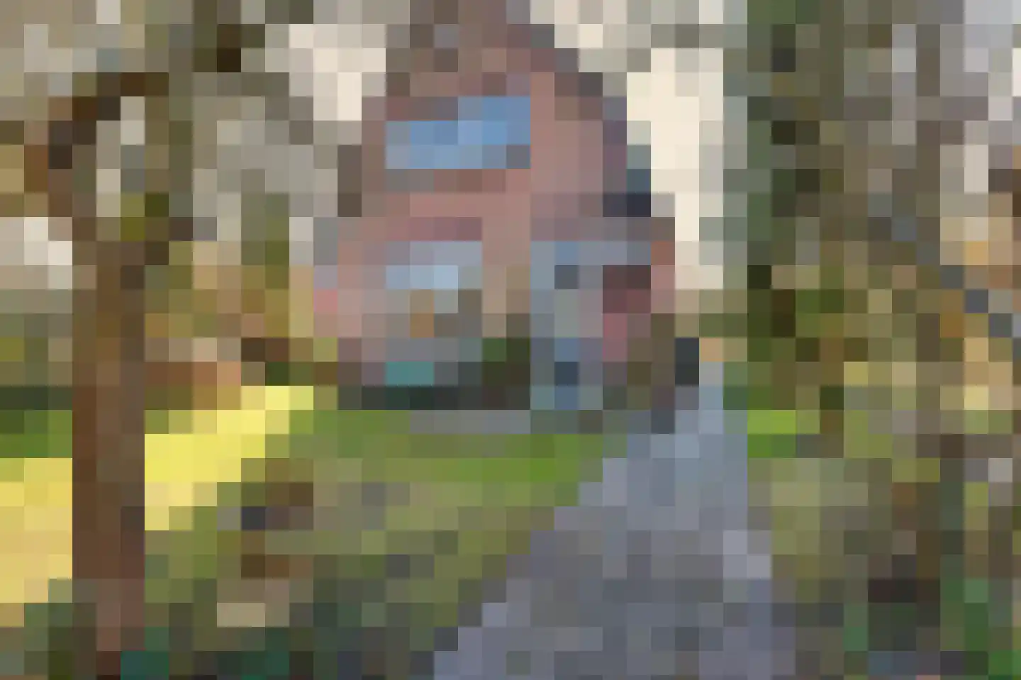 Heereweg 125 Schoorl thumbnail 13