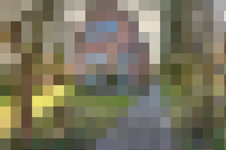 Heereweg 125 Schoorl thumbnail 13