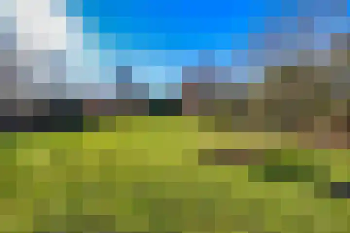 Heereweg 125 Schoorl thumbnail 8