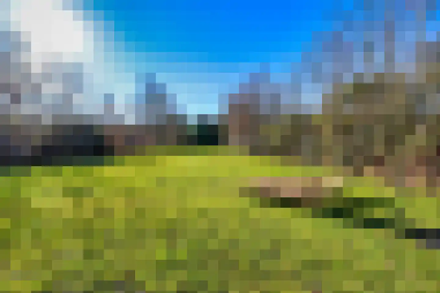 Heereweg 125 Schoorl thumbnail 8