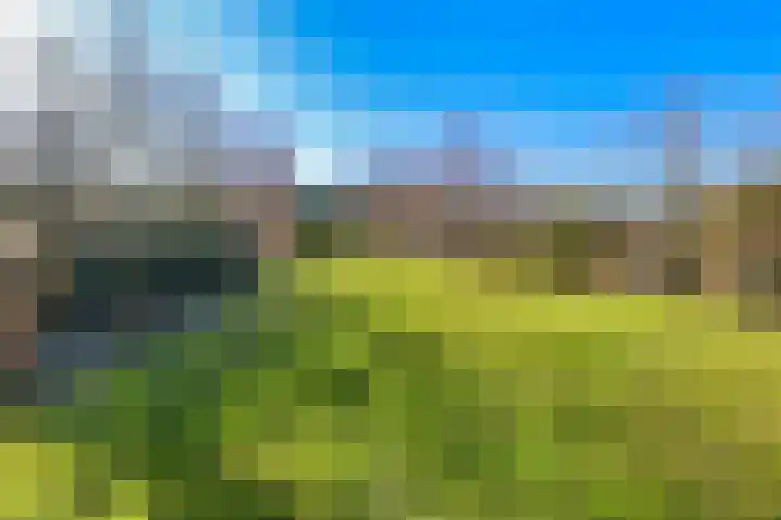 Heereweg 125 Schoorl thumbnail 9