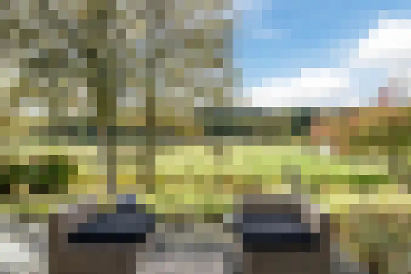 Heereweg 129 Schoorl thumbnail 28