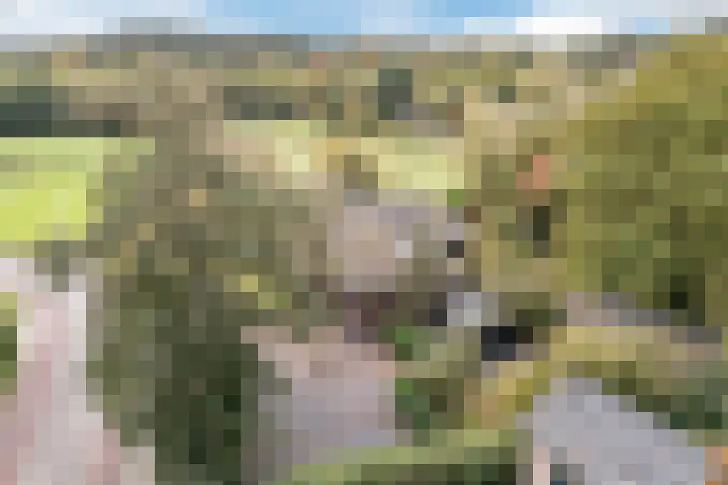 Heereweg 129 Schoorl thumbnail 4