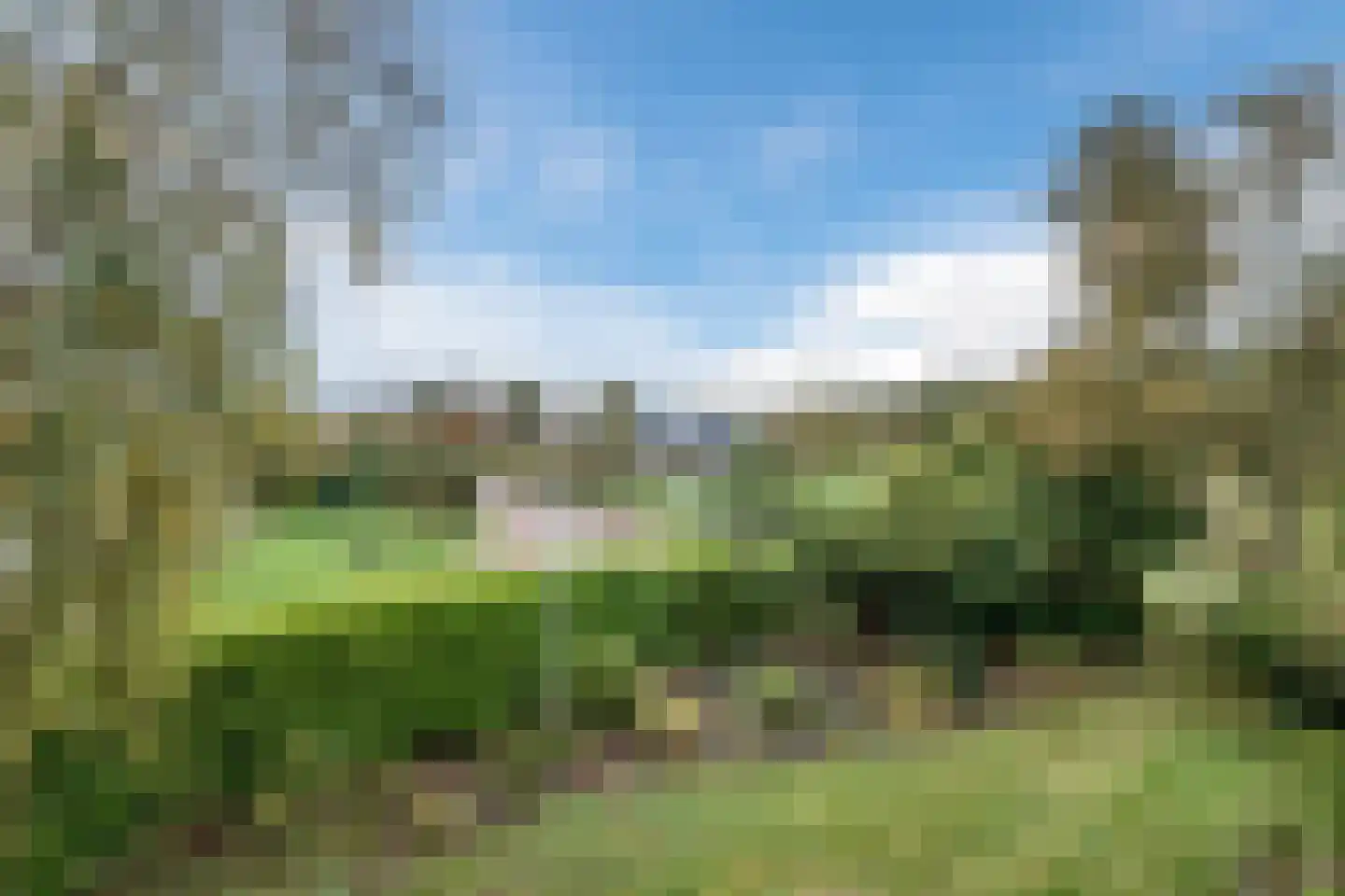 Heereweg 129 Schoorl thumbnail 41