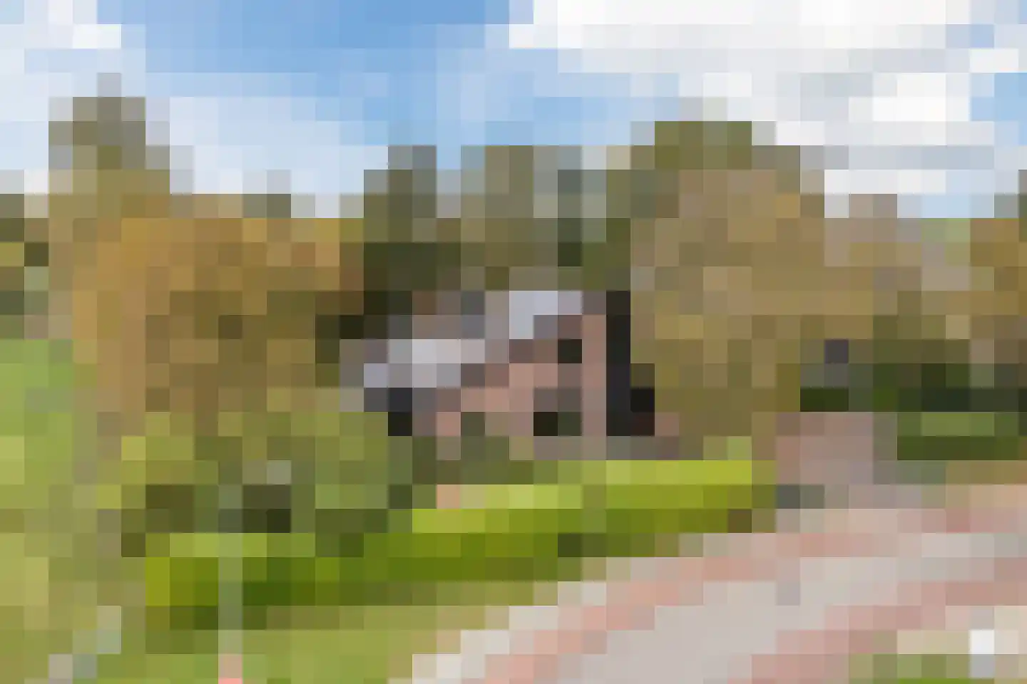 Heereweg 129 Schoorl thumbnail 5
