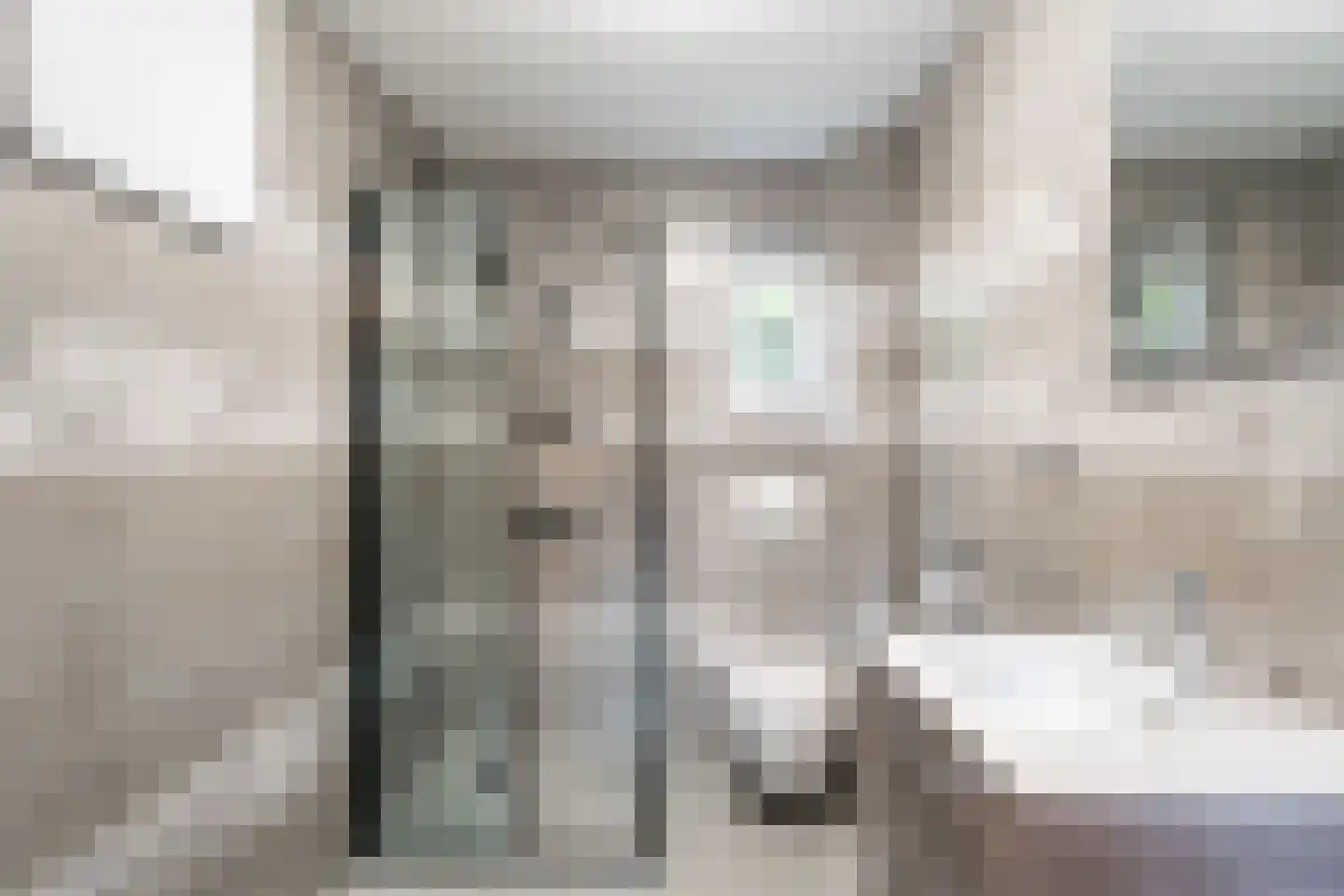 Heereweg 129 Schoorl thumbnail 59