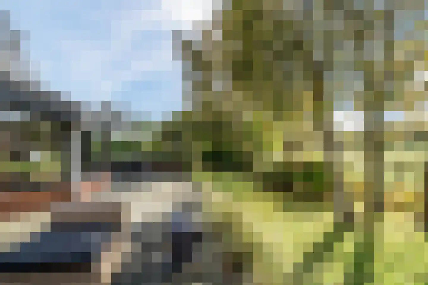 Heereweg 129 Schoorl thumbnail 65