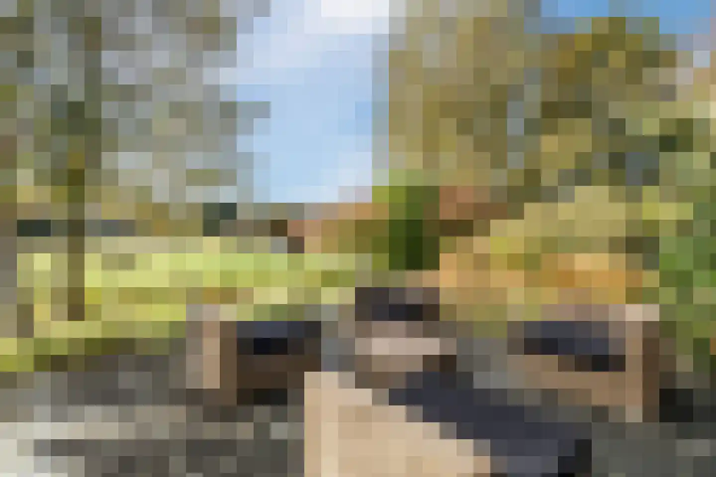 Heereweg 129 Schoorl thumbnail 66