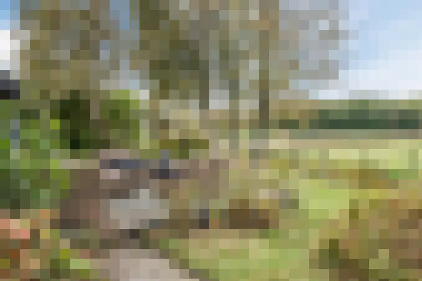 Heereweg 129 Schoorl thumbnail 67