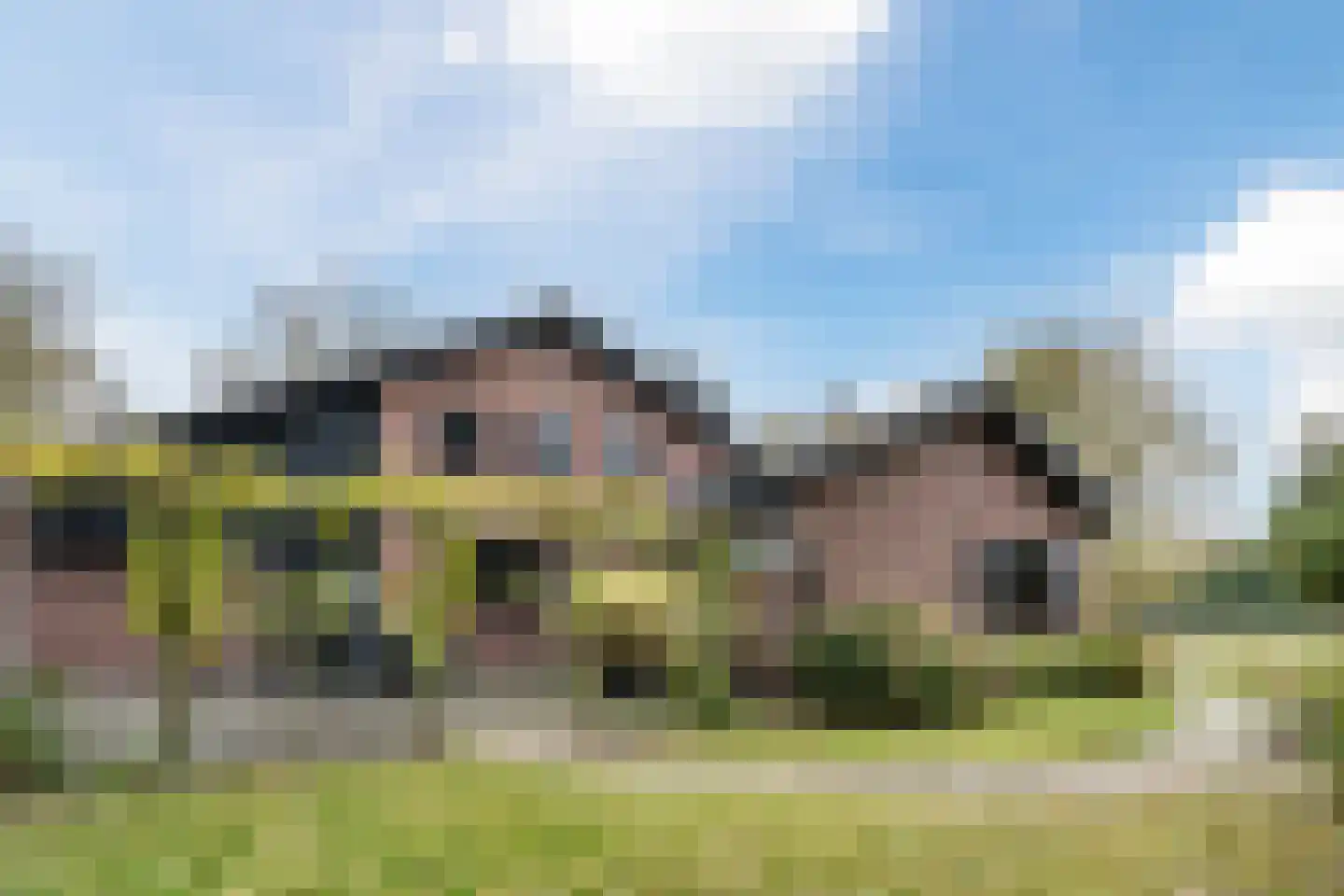 Heereweg 129 Schoorl thumbnail 69