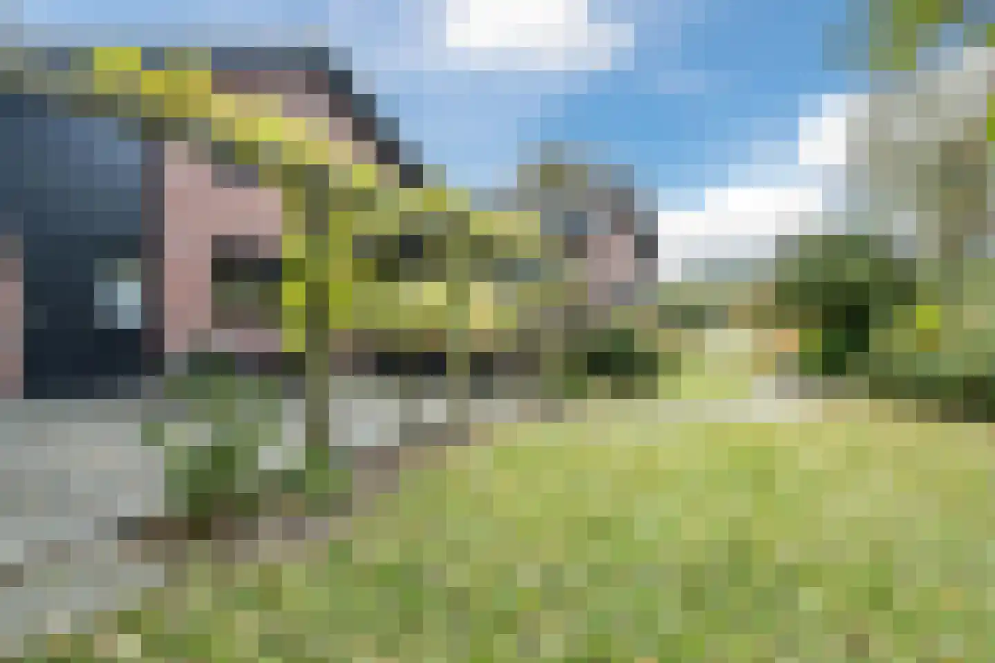 Heereweg 129 Schoorl thumbnail 70