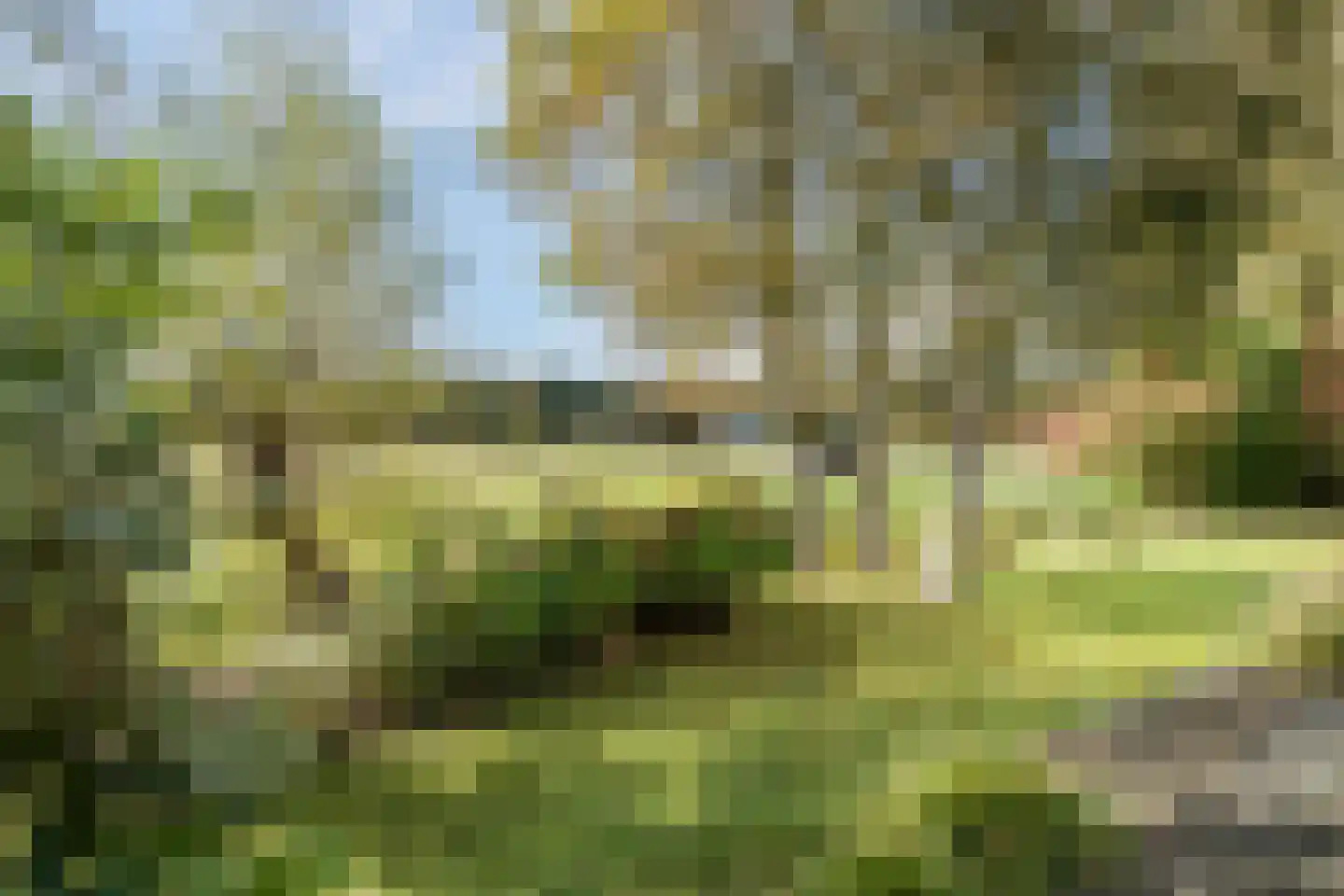 Heereweg 129 Schoorl thumbnail 71