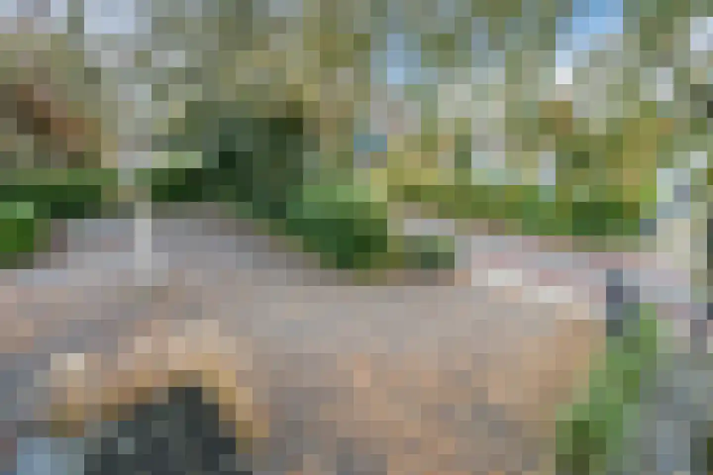 Heereweg 129 Schoorl thumbnail 72