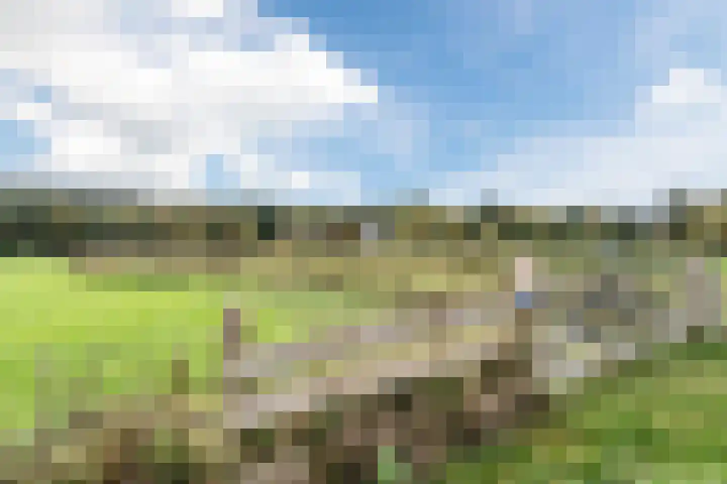 Heereweg 129 Schoorl thumbnail 74
