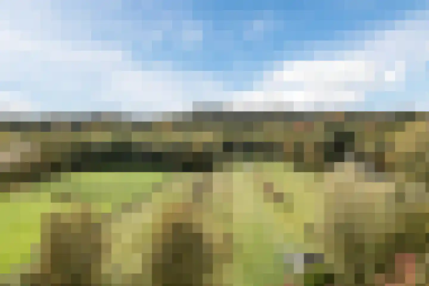 Heereweg 129 Schoorl thumbnail 75