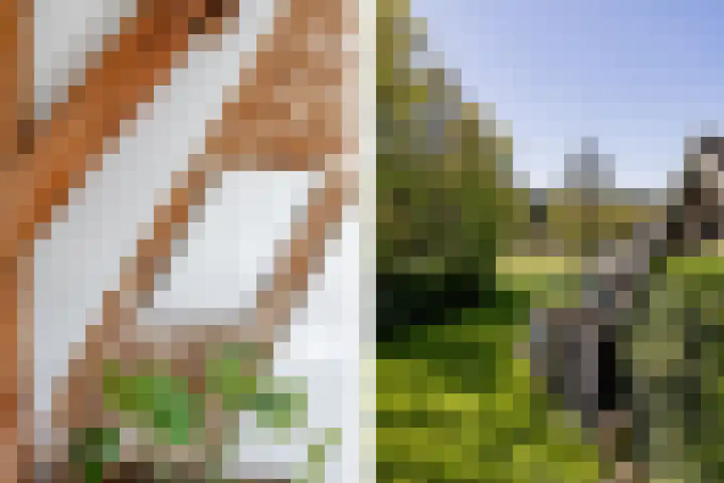 Heereweg 133 Schoorl thumbnail 26