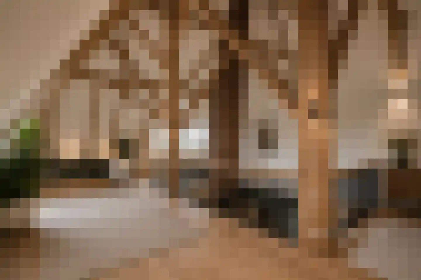 Heereweg 133 Schoorl thumbnail 32