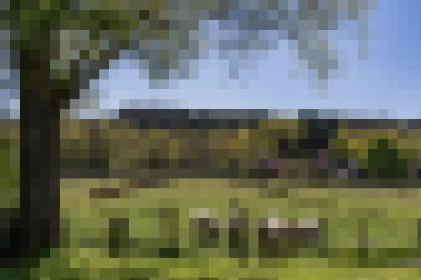 Heereweg 133 Schoorl thumbnail 37