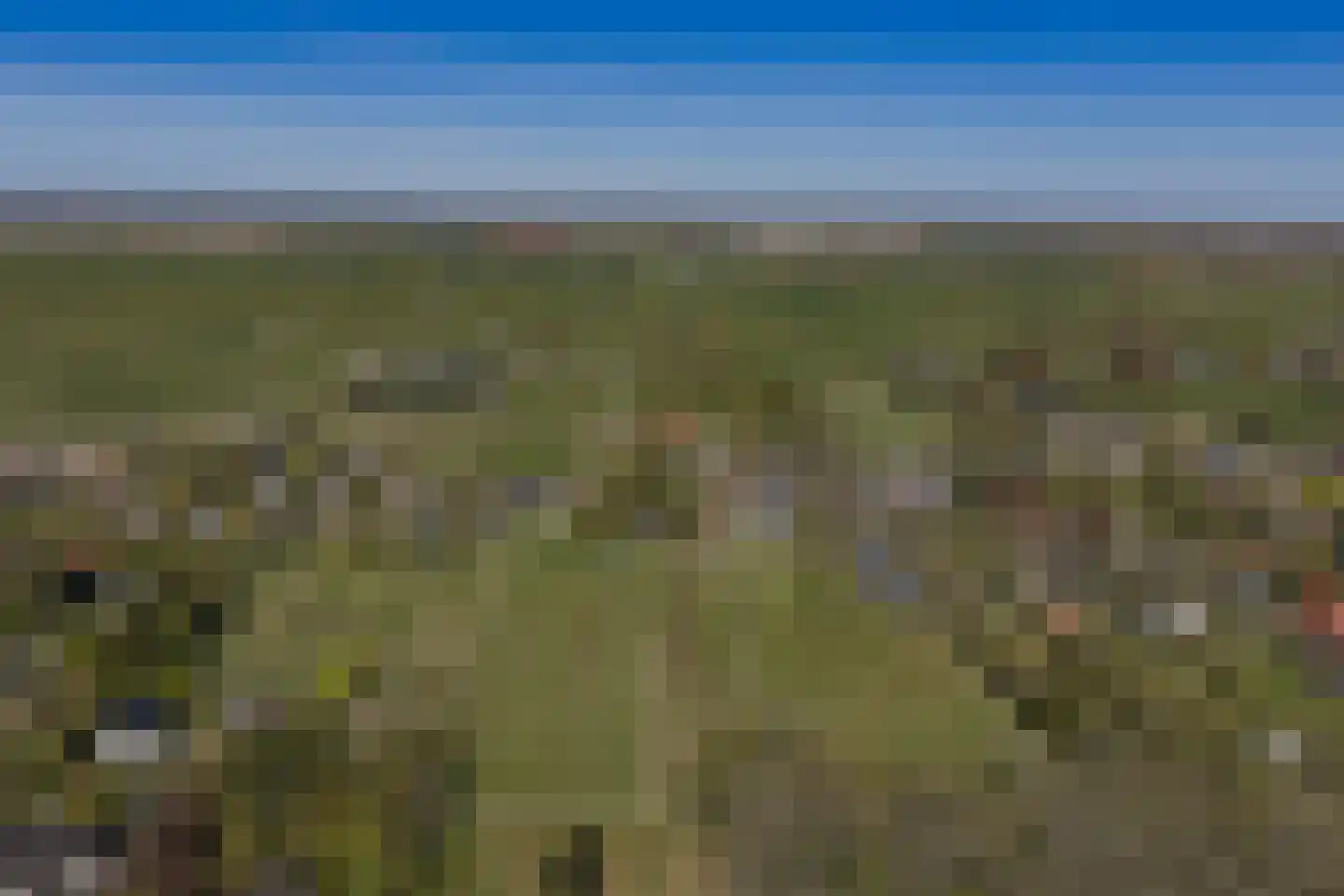 Heereweg 133 Schoorl thumbnail 43
