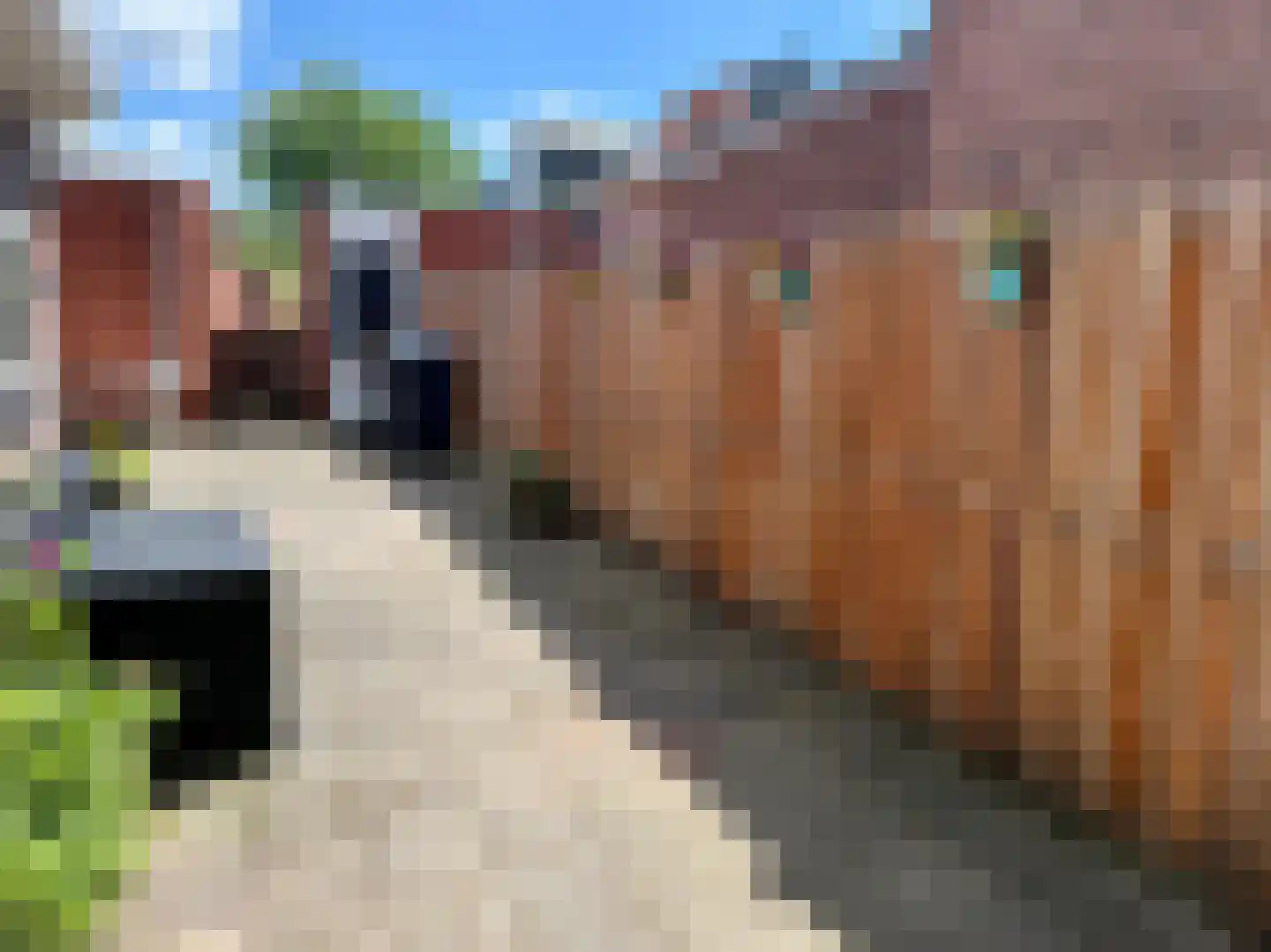 Heereweg 149 Lisse thumbnail 20