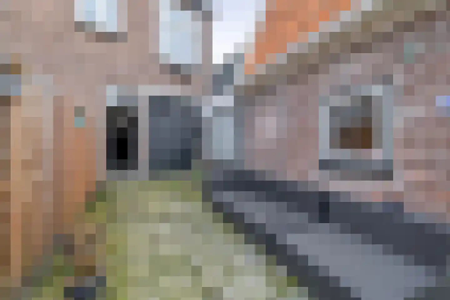 Heereweg 149 Lisse thumbnail 20