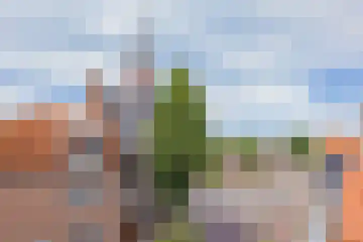 Heereweg 153 A Lisse thumbnail 49