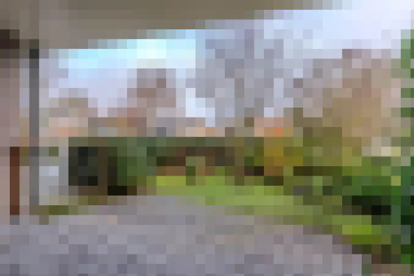 Heereweg 163 a Schoorl thumbnail 5