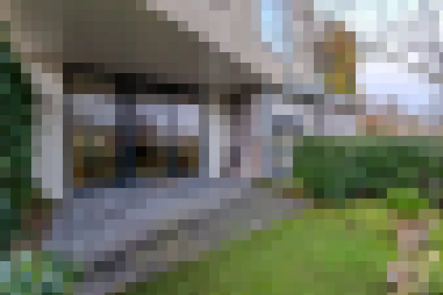 Heereweg 163 a Schoorl thumbnail 6