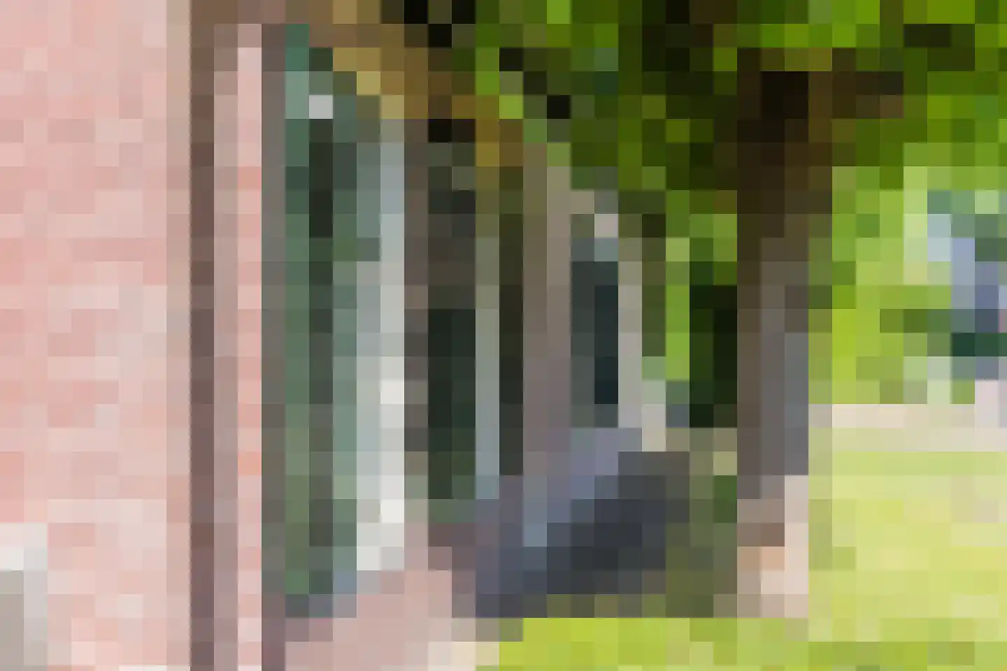 Heereweg 165 Schoorl thumbnail 12