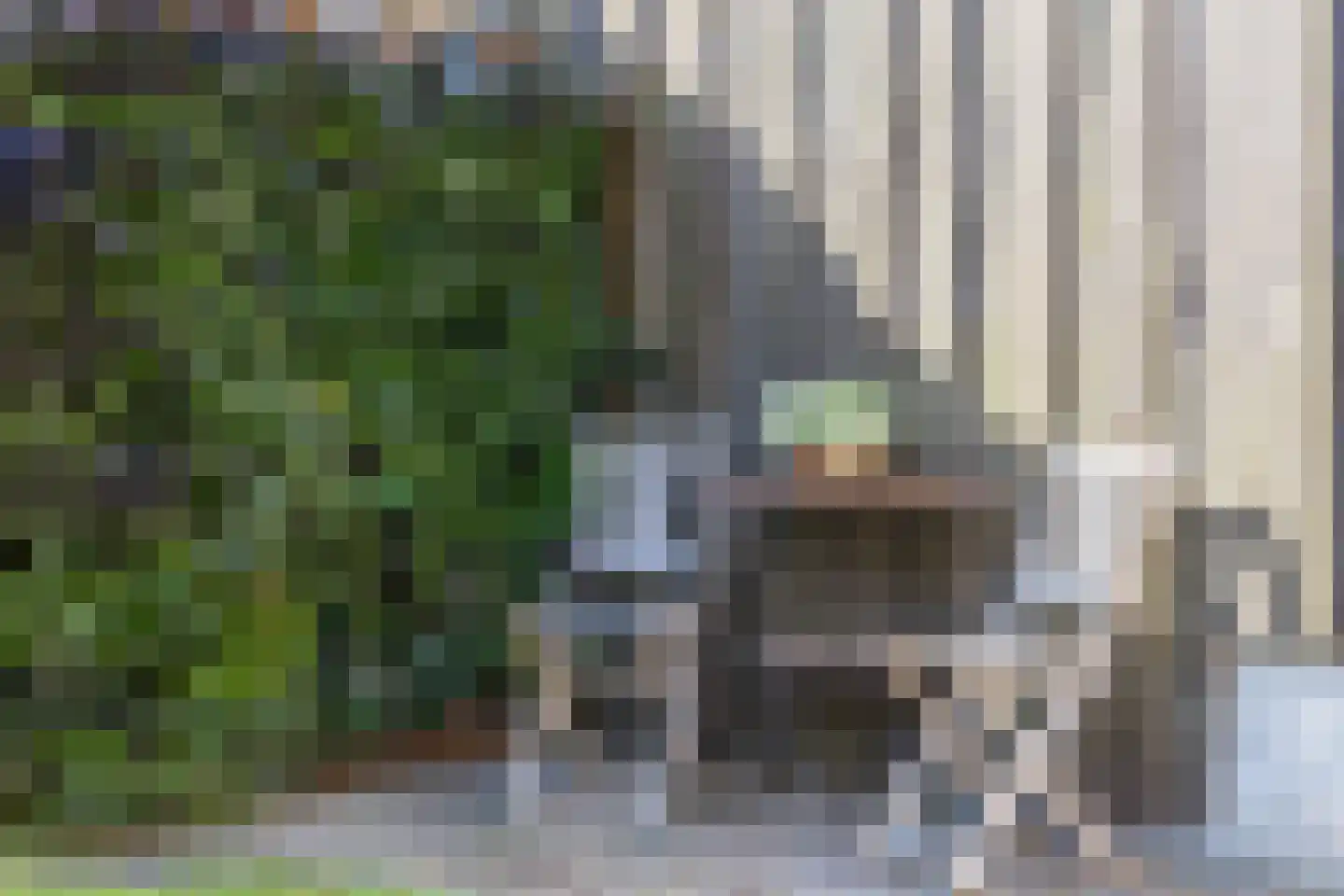 Heereweg 165 Schoorl thumbnail 20