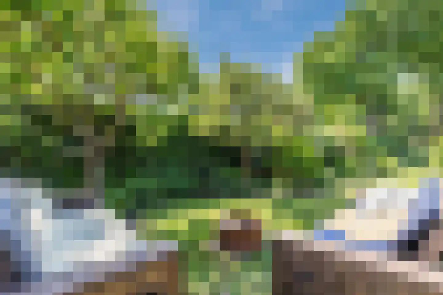 Heereweg 165 Schoorl thumbnail 68