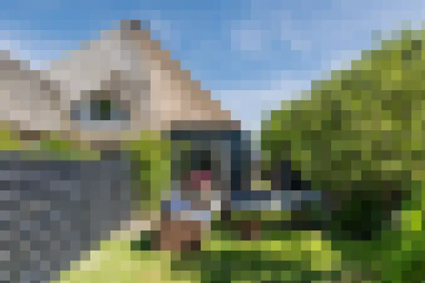 Heereweg 165 Schoorl thumbnail 71