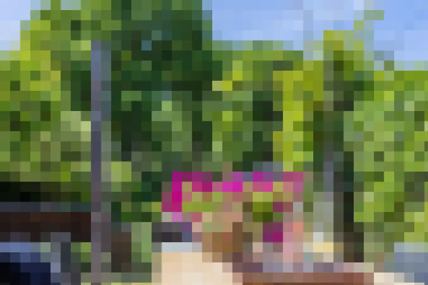Heereweg 165 Schoorl thumbnail 74