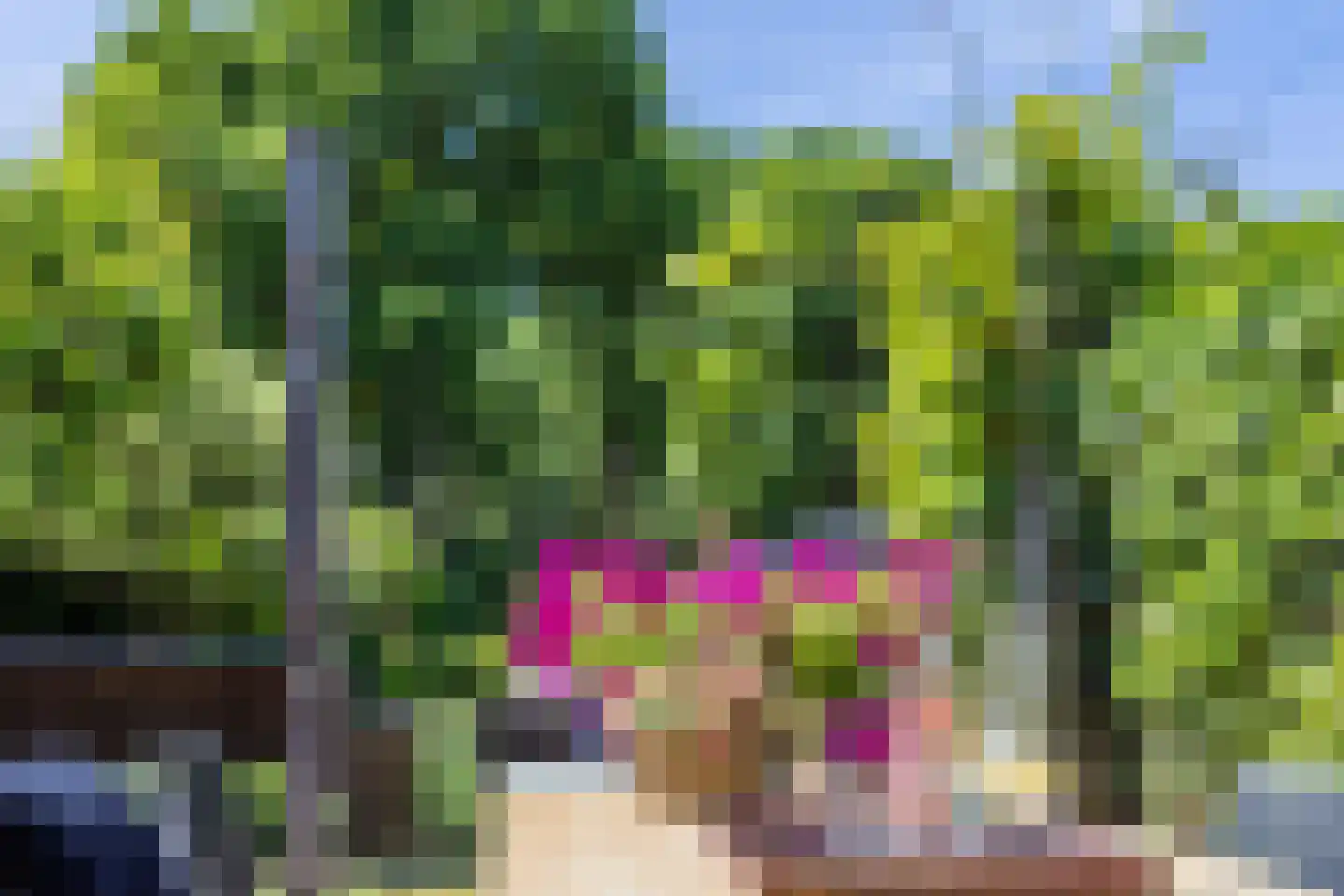 Heereweg 165 Schoorl thumbnail 74