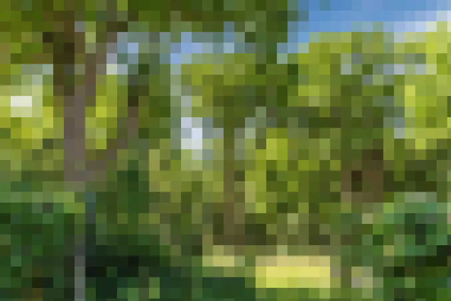 Heereweg 165 Schoorl thumbnail 77