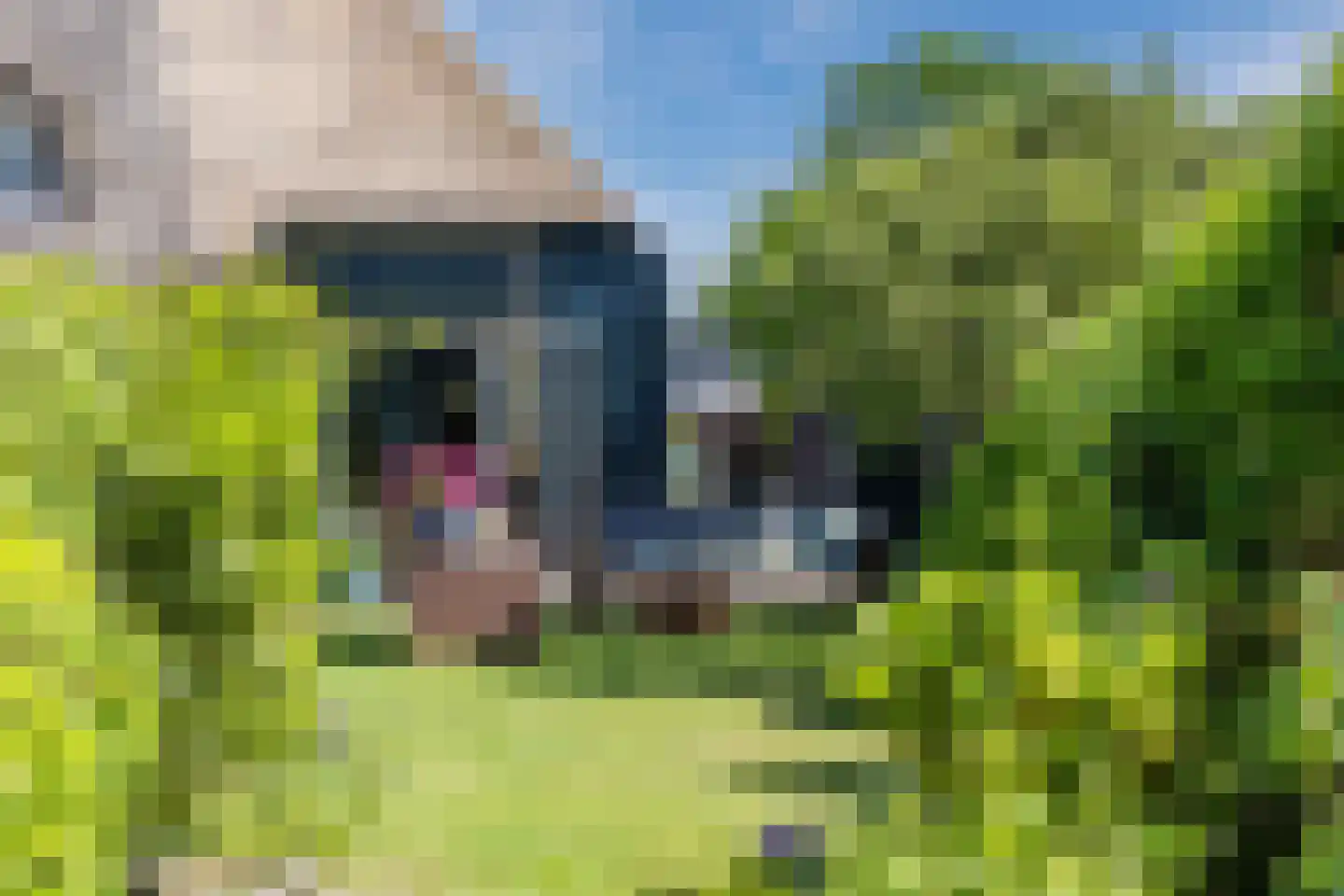 Heereweg 165 Schoorl thumbnail 9