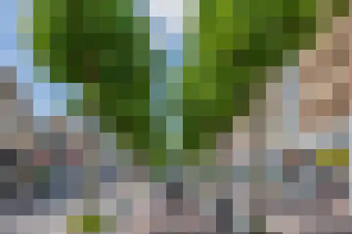 Heereweg 179 J Lisse thumbnail 38