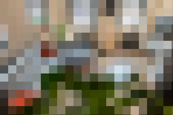 Heereweg 186 Lisse thumbnail 18