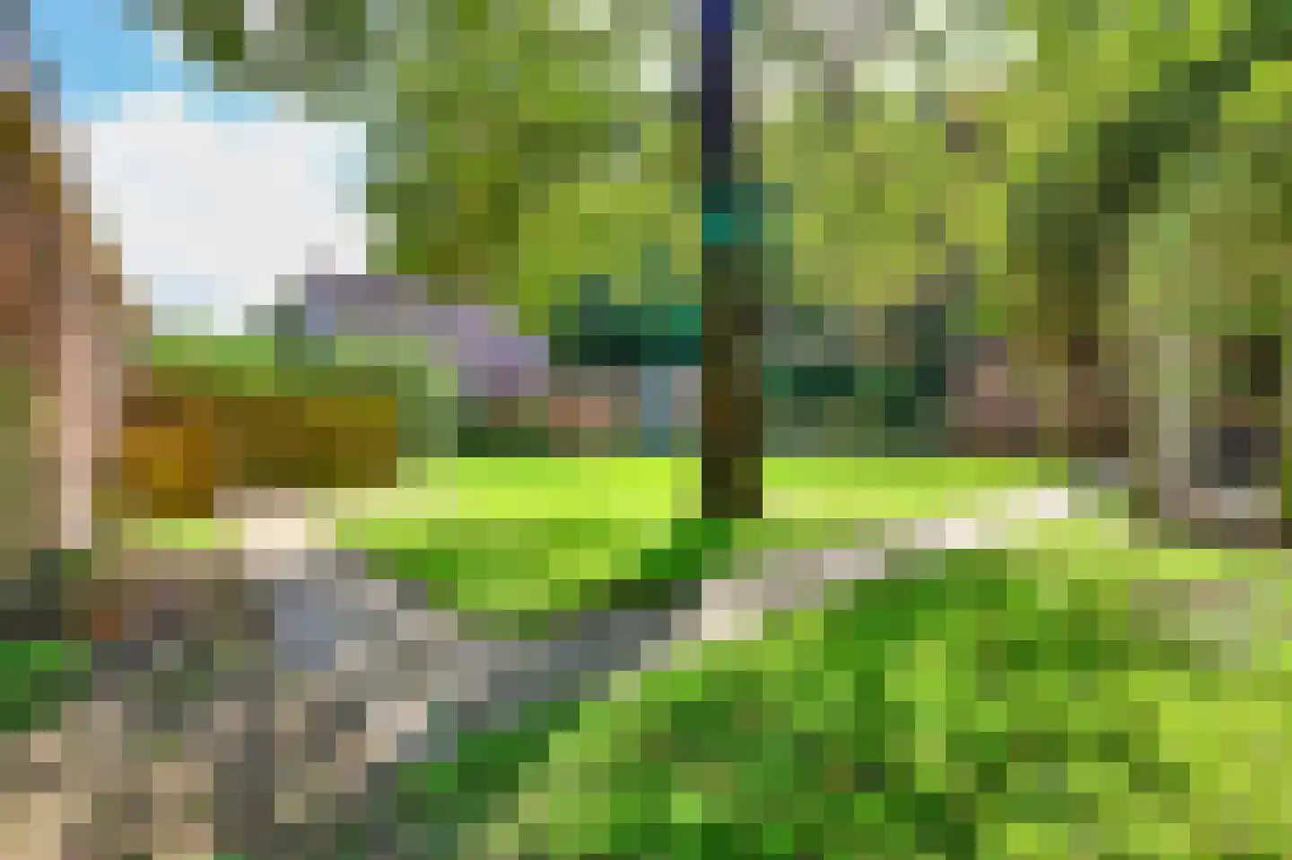 Heereweg 203 Schoorl thumbnail 10