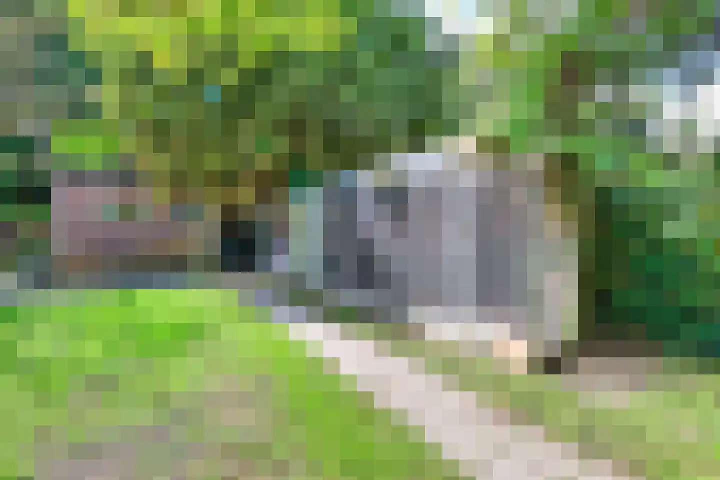 Heereweg 203 Schoorl thumbnail 11