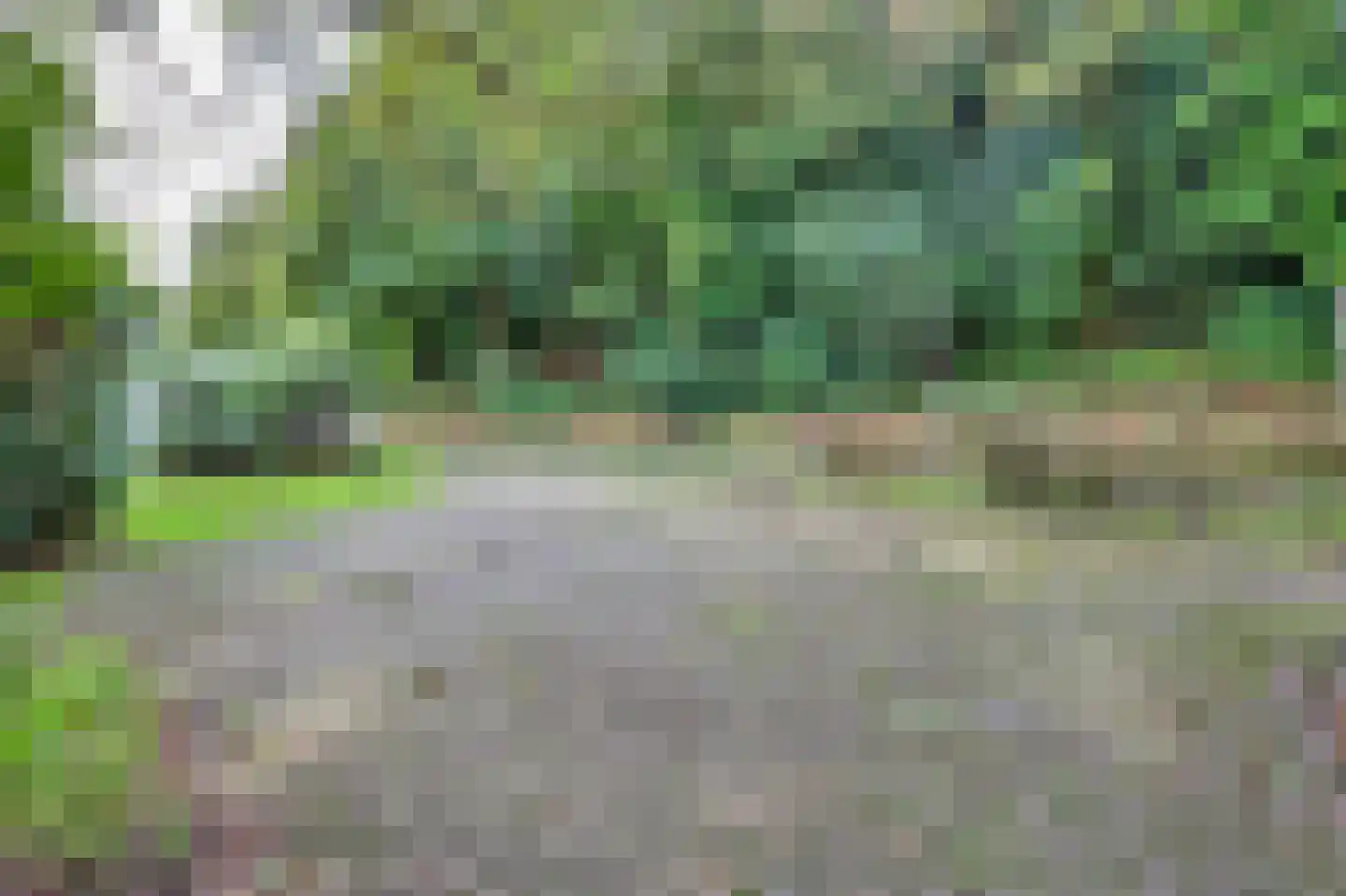 Heereweg 203 Schoorl thumbnail 15